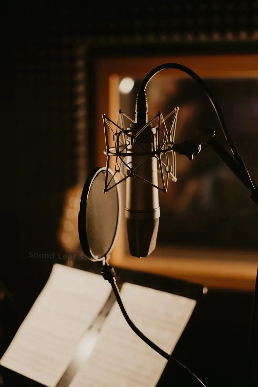 Sound Leaf Studio 15