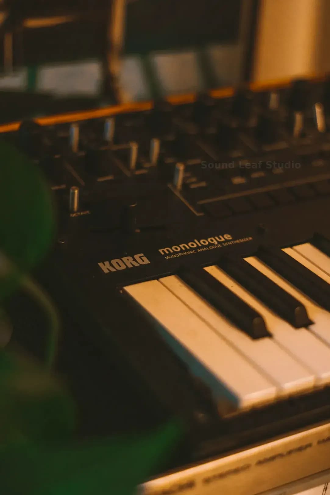 Sound Leaf Studio 4