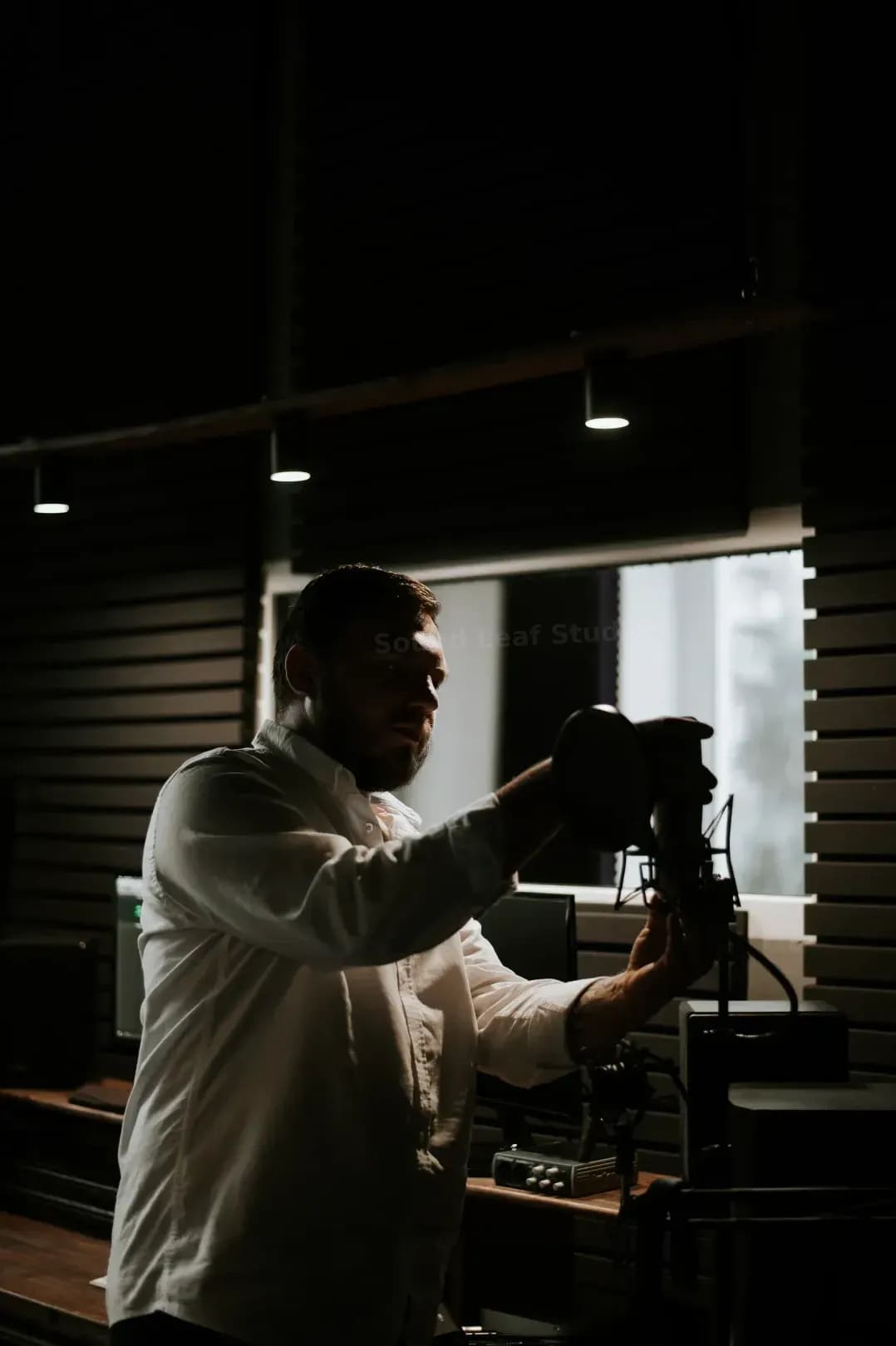 Sound Leaf Studio 8
